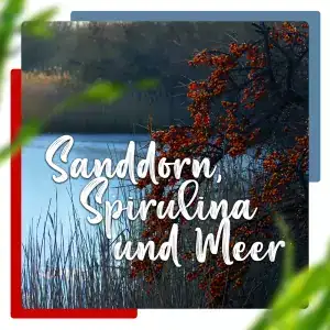 Spirulina-Alge & Sanddorn: Denken sie in Ihrem Urlaub mal über eine Alternative zur orangenen Ostsee-Frucht nach!? 1