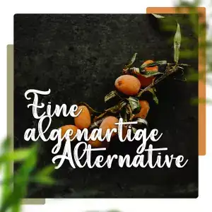 Spirulina-Alge & Sanddorn: Denken sie in Ihrem Urlaub mal über eine Alternative zur orangenen Ostsee-Frucht nach!? 2